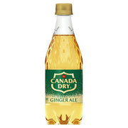 カナダドライ ジンジャーエール 500ml 0.00%