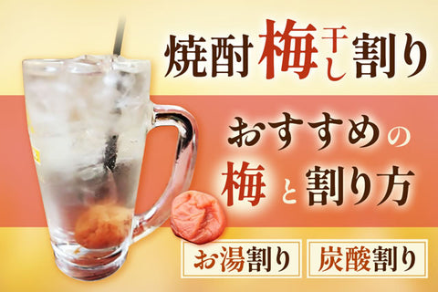 焼酎梅干し割り。焼酎に合うおすすめの梅やお湯割りサワー等の割り方