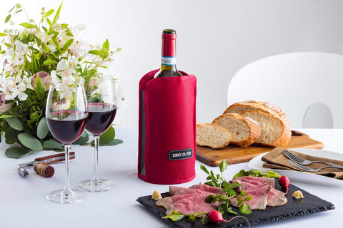 高木金属 ワインクーラー アイスクーラー カバー レッド 蓄冷剤2個付き NV-WCR